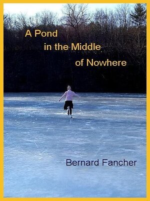 cover image of A Pond in the Middle of Nowhere